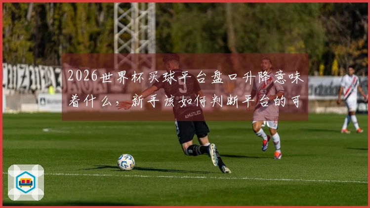 2026世界杯买球平台盘口升降意味着什么,新手该如何判断平台的可信度
